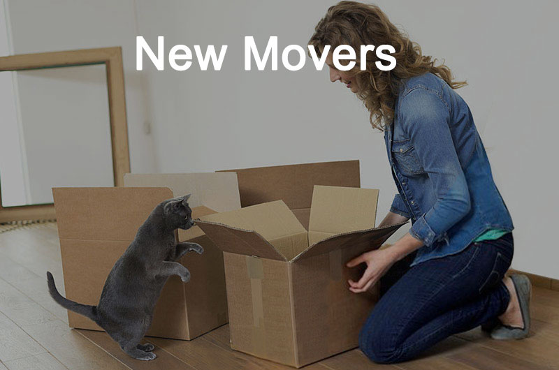 New-Movers